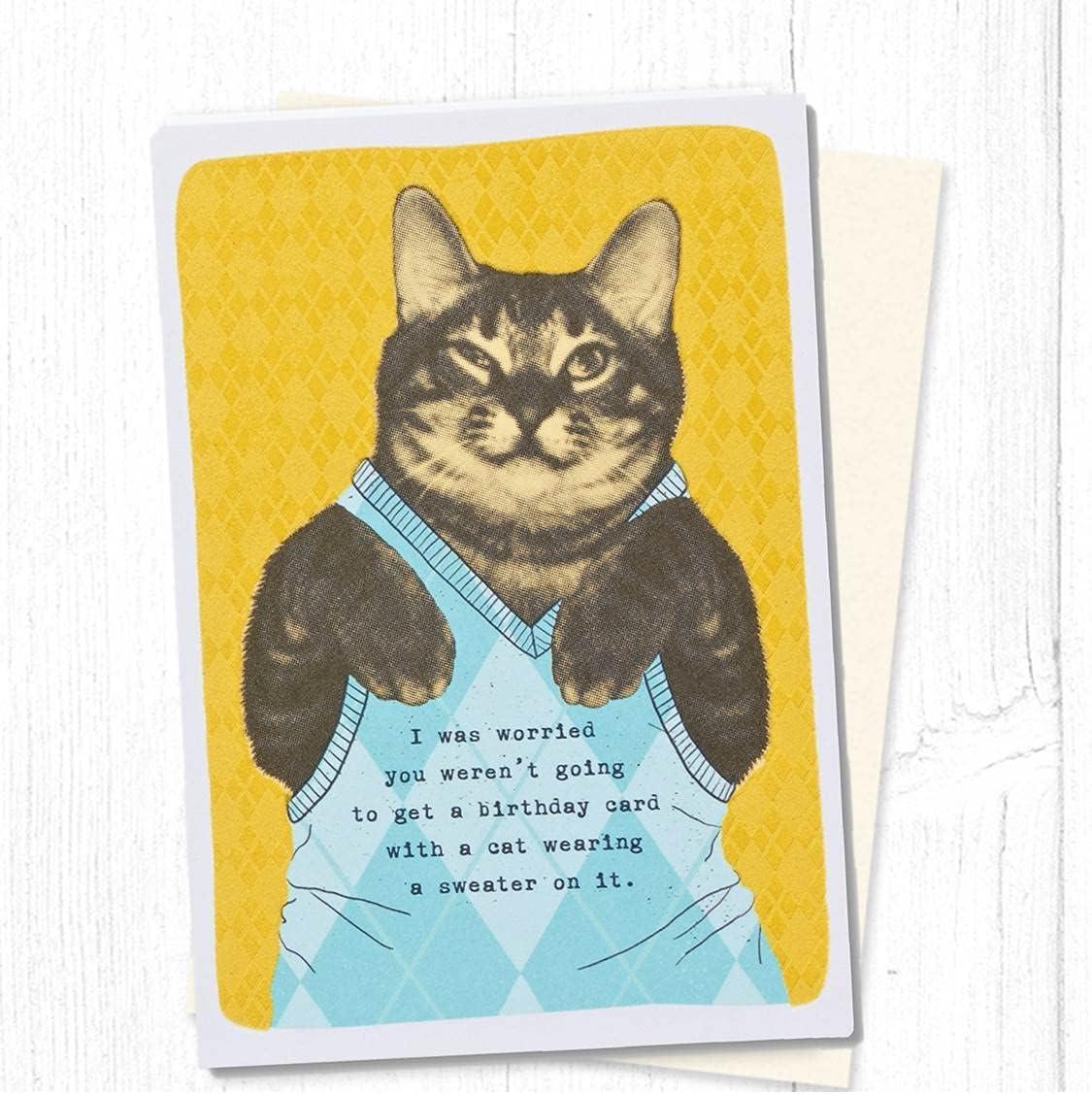 image:imageAmerican Greetings Carte danniversaire avec lumires et musique Sweat capuche Cat BirthdaySweat capuche Cat Birthday