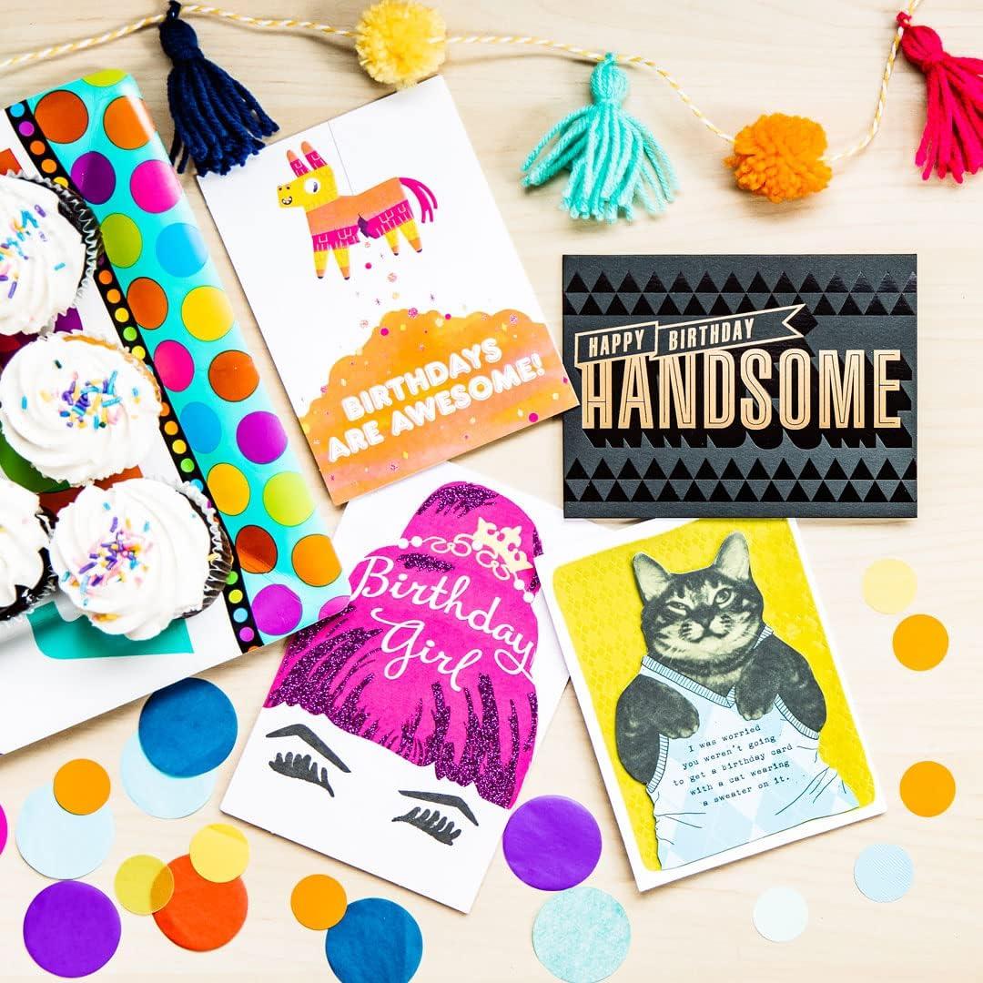 image:imageAmerican Greetings Carte danniversaire avec lumires et musique Sweat capuche Cat BirthdaySweat capuche Cat Birthday