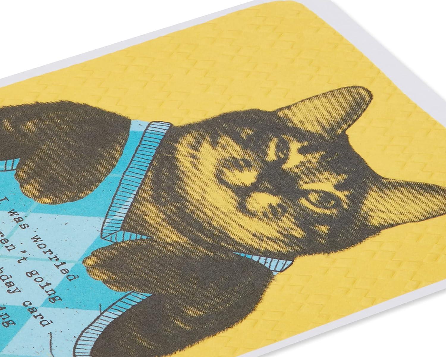 image:imageAmerican Greetings Carte danniversaire avec lumires et musique Sweat capuche Cat BirthdaySweat capuche Cat Birthday